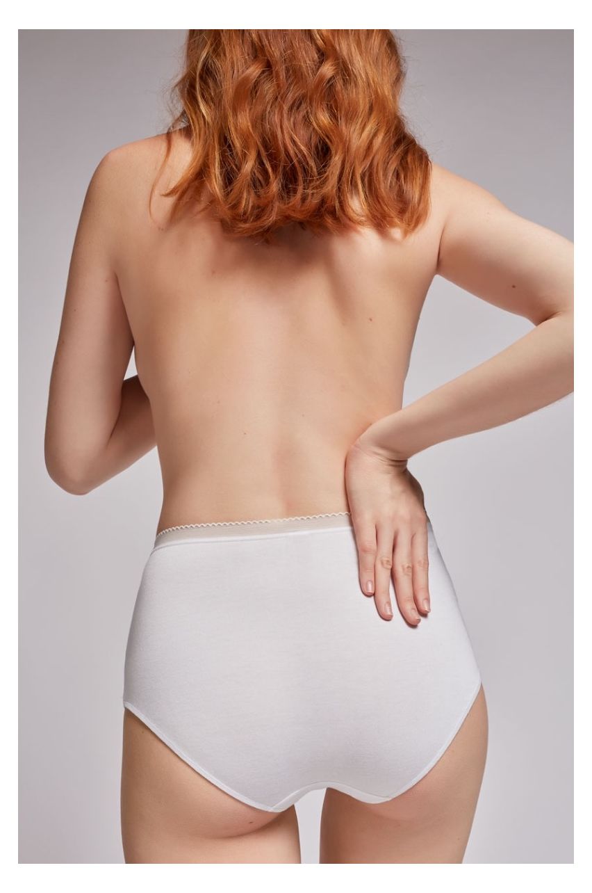 Organic Modal High Waisted Briefs Undies