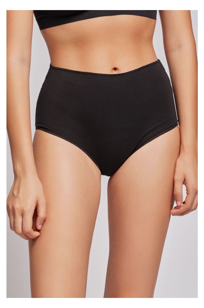 Organic Cotton High Waist Briefs Undies