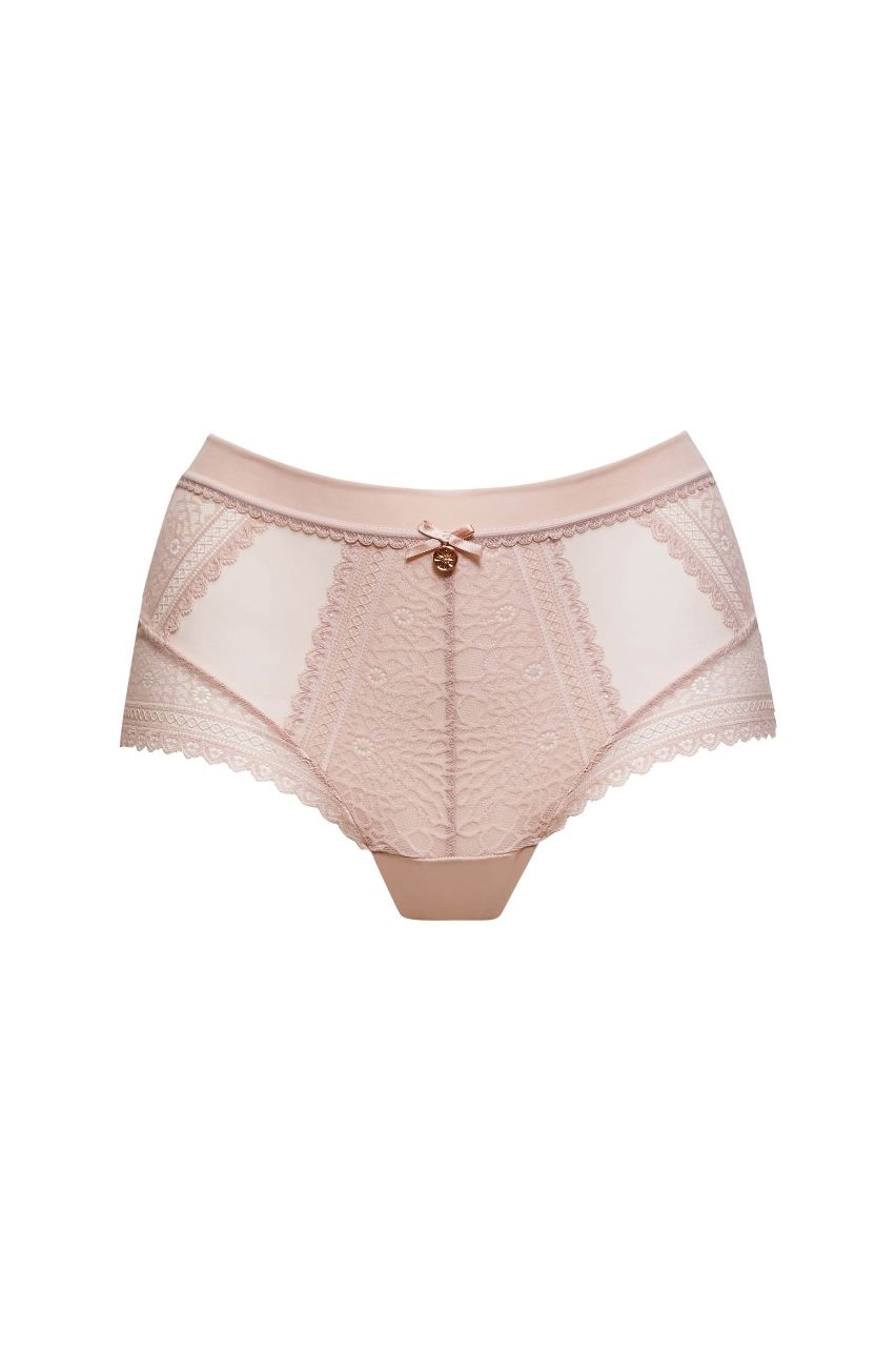 High Waist Classic Briefs Sheer Light